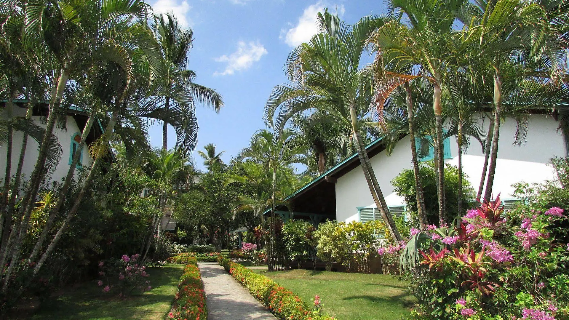 Las Palmas Eco Residence Las Terrenas Repubblica Dominicana
